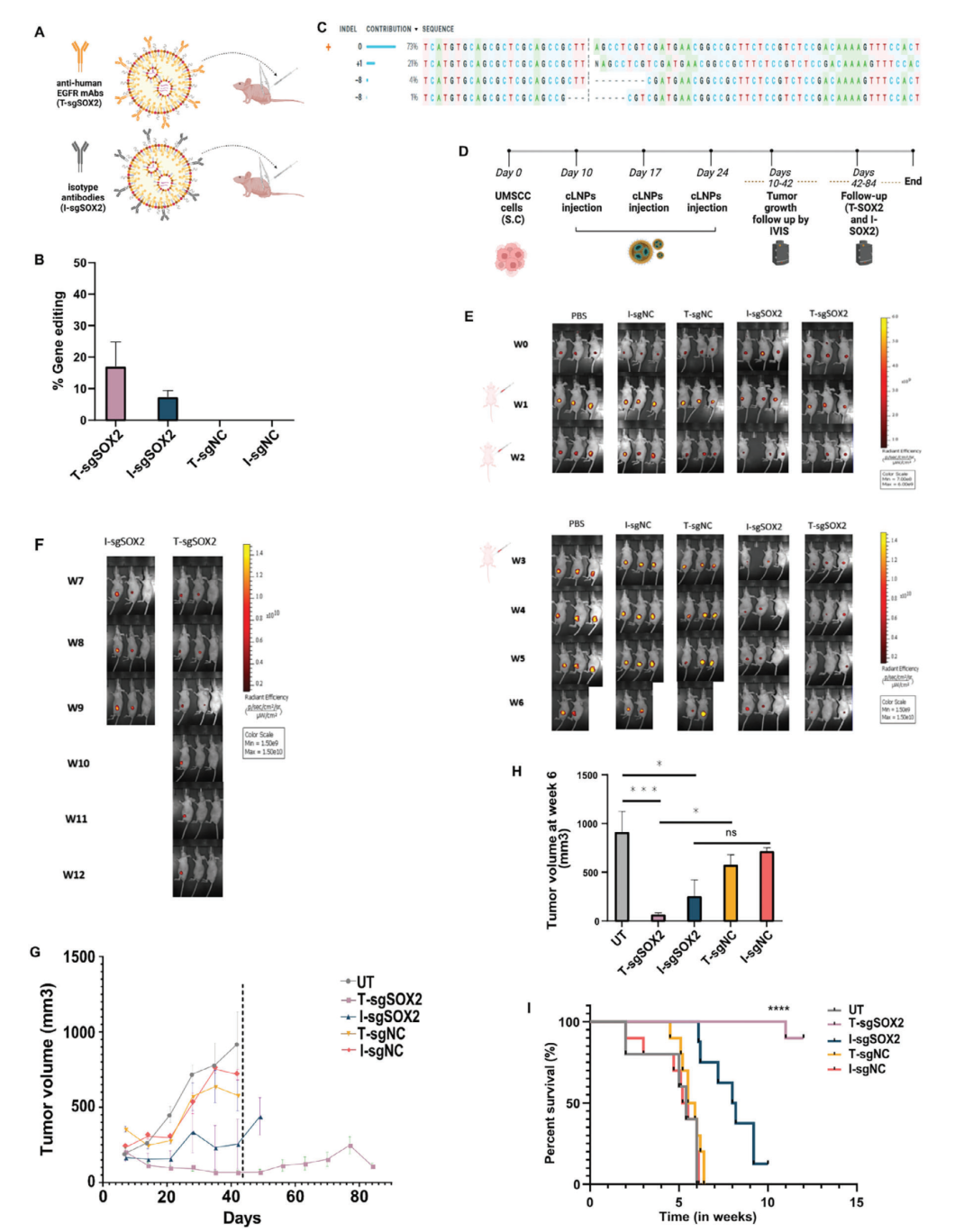 靶向CRISPR-Cas9脂質(zhì)納米顆粒在頭頸癌中的治療性基因組編輯