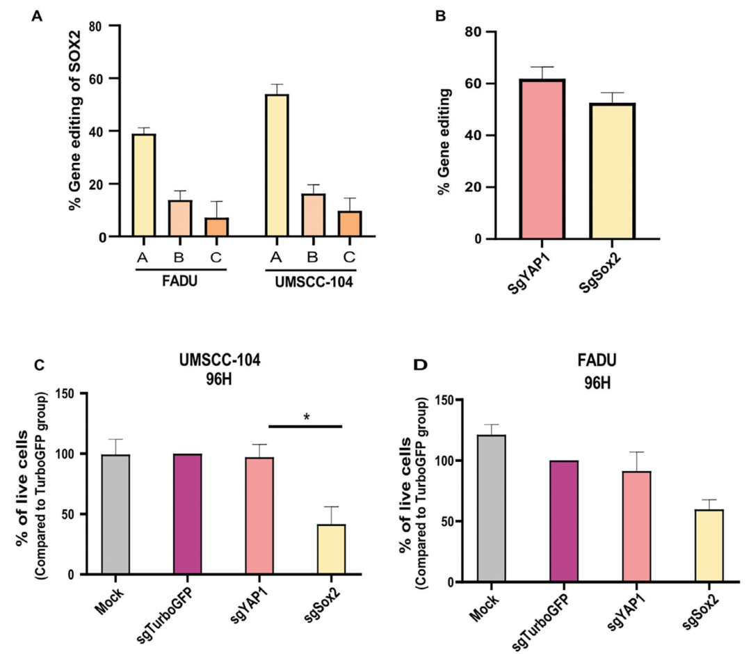 靶向CRISPR-Cas9脂質(zhì)納米顆粒在頭頸癌中的治療性基因組編輯
