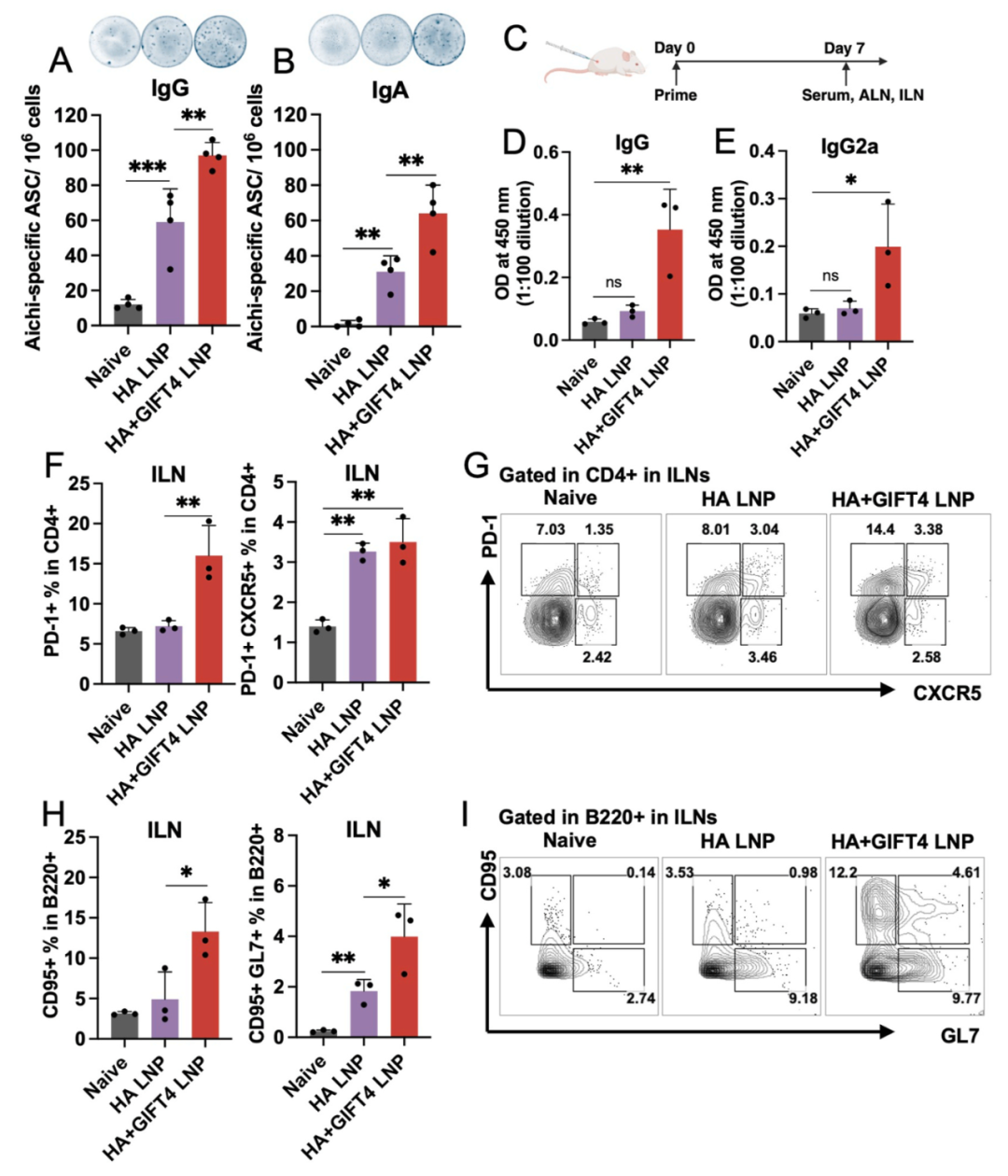 脂質(zhì)納米顆粒共包載佐劑與抗原mRNA增強(qiáng)流感免疫交叉保護(hù)的研究