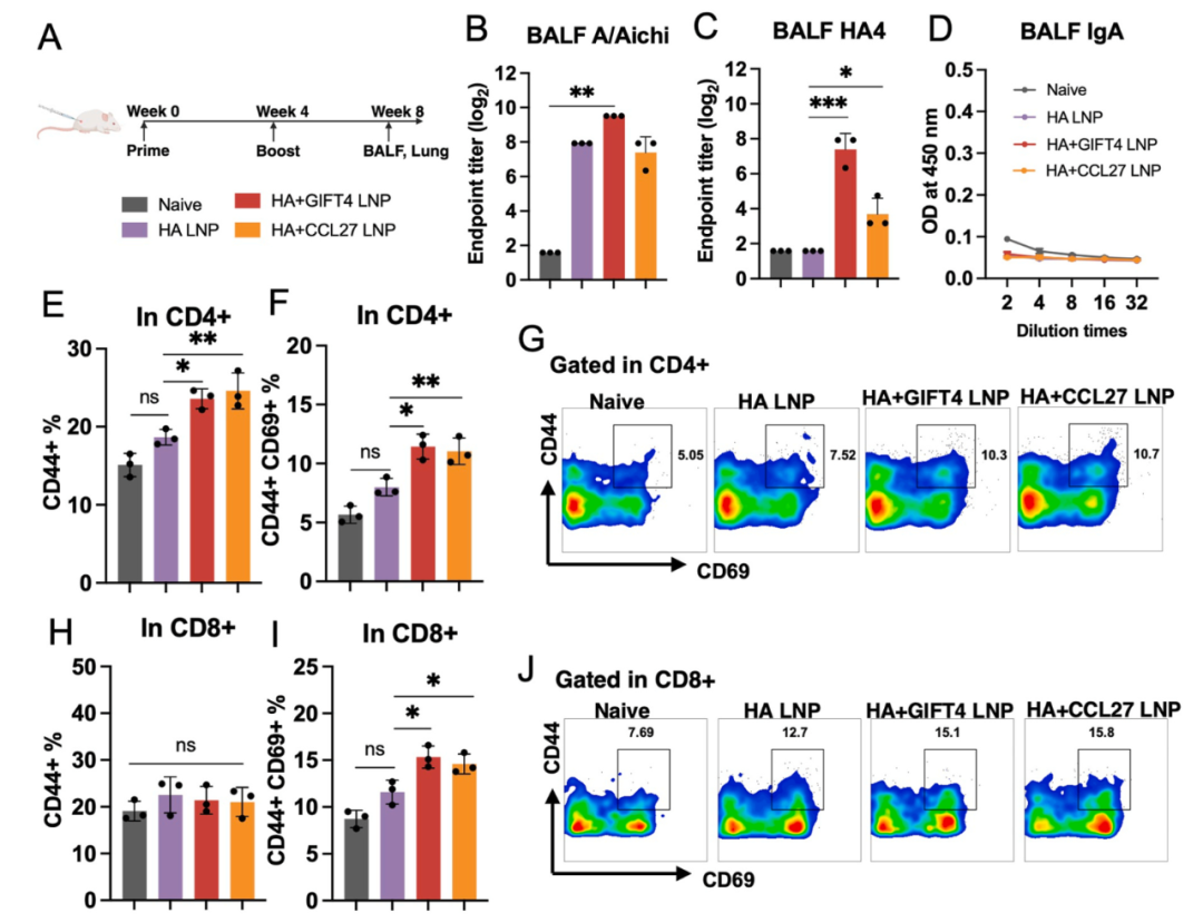 脂質(zhì)納米顆粒共包載佐劑與抗原mRNA增強(qiáng)流感免疫交叉保護(hù)的研究