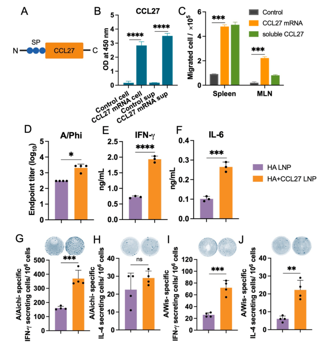 脂質(zhì)納米顆粒共包載佐劑與抗原mRNA增強(qiáng)流感免疫交叉保護(hù)的研究