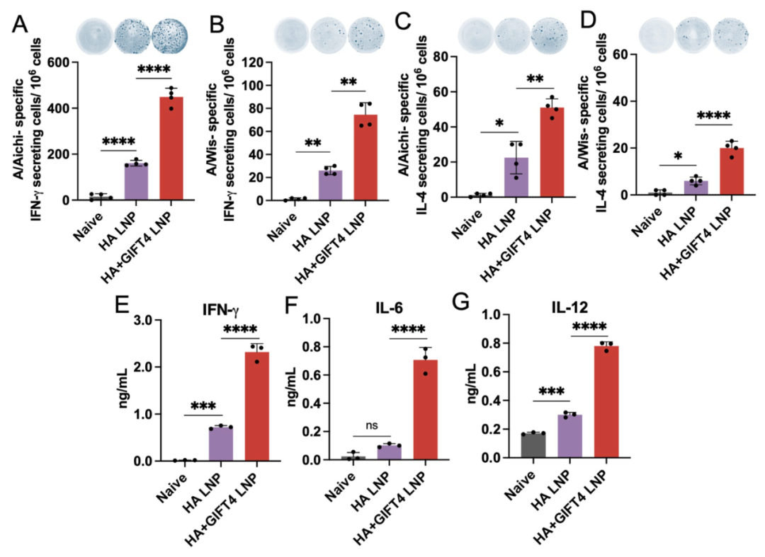 脂質(zhì)納米顆粒共包載佐劑與抗原mRNA增強(qiáng)流感免疫交叉保護(hù)的研究
