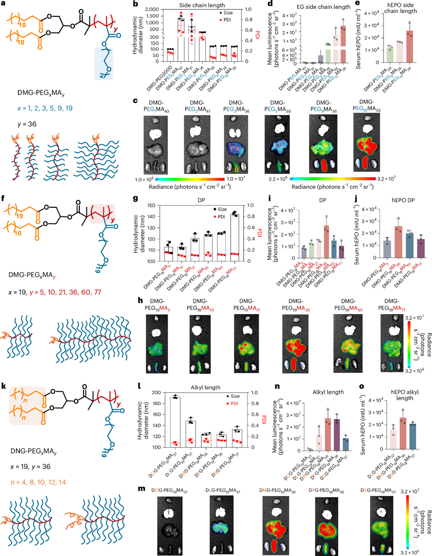 高密度刷狀聚合物脂質(zhì)在mRNA療法重復(fù)給藥中的應(yīng)用