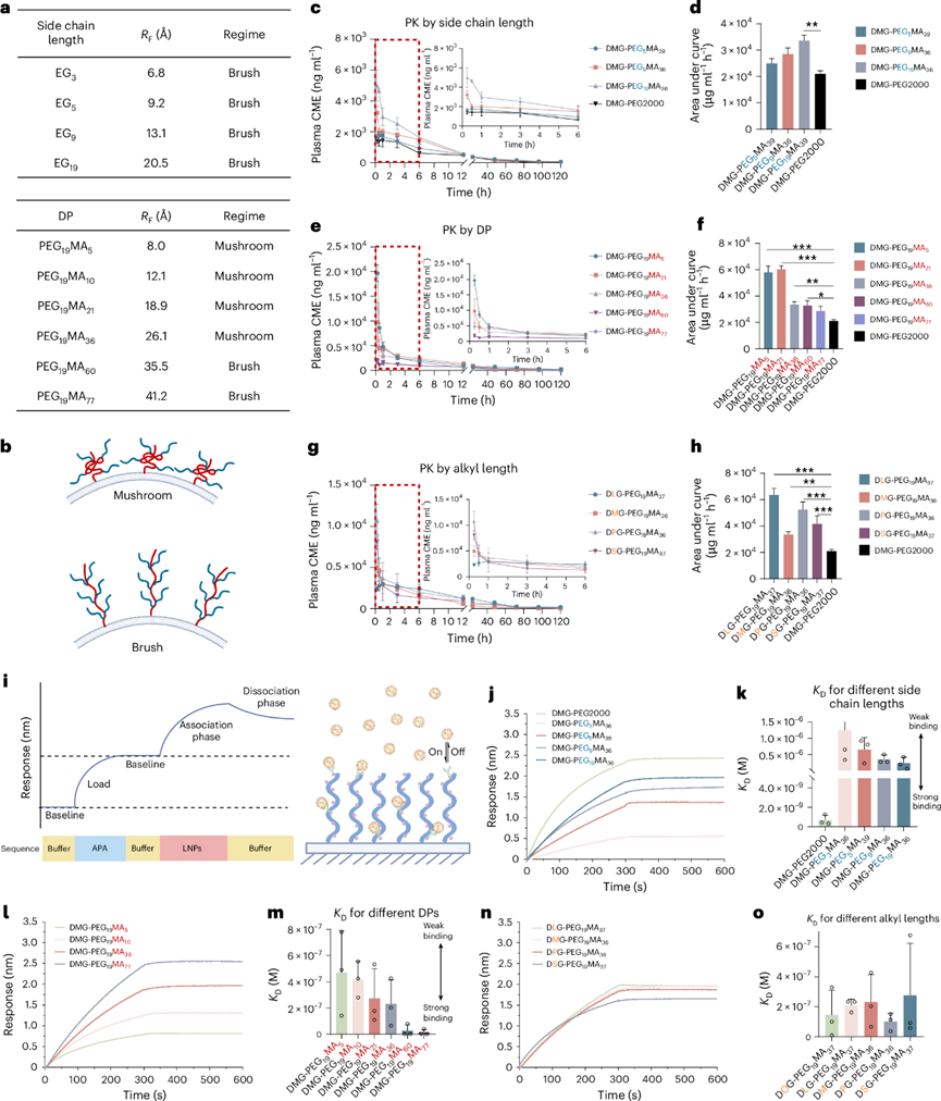 高密度刷狀聚合物脂質(zhì)在mRNA療法重復(fù)給藥中的應(yīng)用