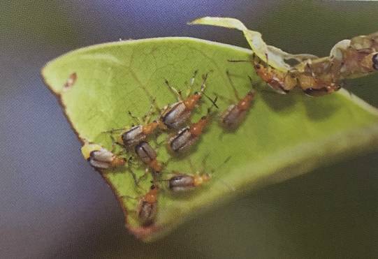 640?wx_fmt=png&tp=webp&wxfrom=5&wx_lazy=1