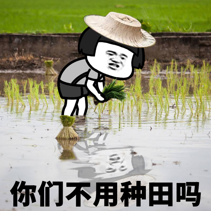 AI写代码抢程序员饭碗？！谷歌又搞事情……