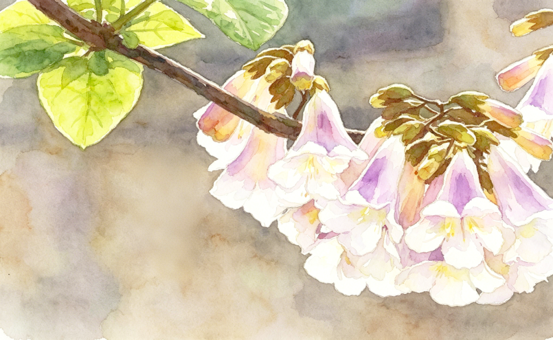 c6764de16d7afef777cb0ca92adeb579.png