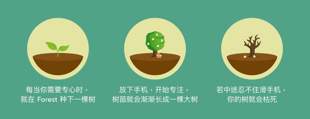 开发出专注和效率应用 Forest 的他都在用什么利器？ | 利器访谈：Marcus，Forest 联合创始人