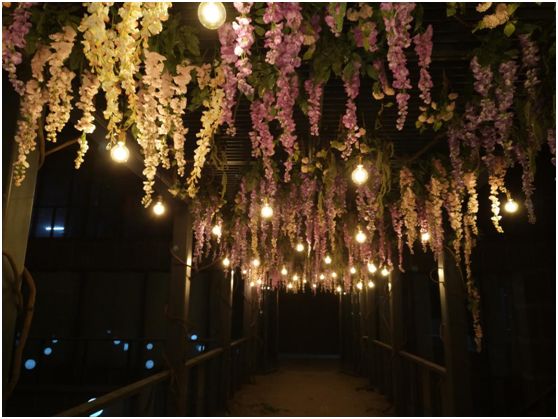 細數迪麗熱巴新劇《一千零一夜》中令人驚嘆的花藝設計 生活 第28張