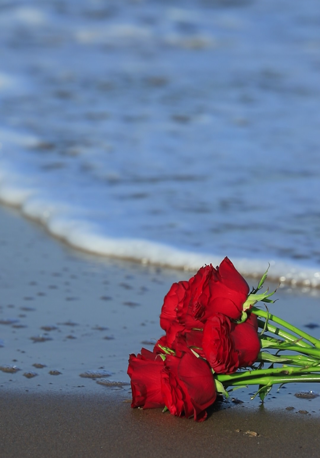 感恩节：感恩有你！