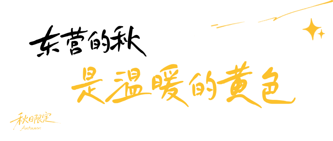 图文风秋日生活晒照记录plog__2026-08-27+09_46_27.png