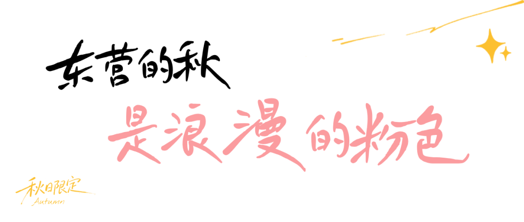 图文风秋日生活晒照记录plog__2026-08-27+09_47_09.png