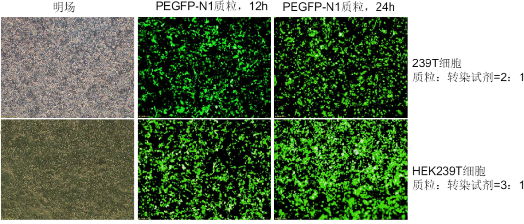 索萊寶20周年慶典禮遇九月開(kāi)學(xué)季