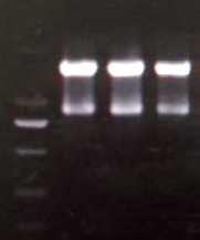 索萊寶20周年慶典禮遇九月開(kāi)學(xué)季