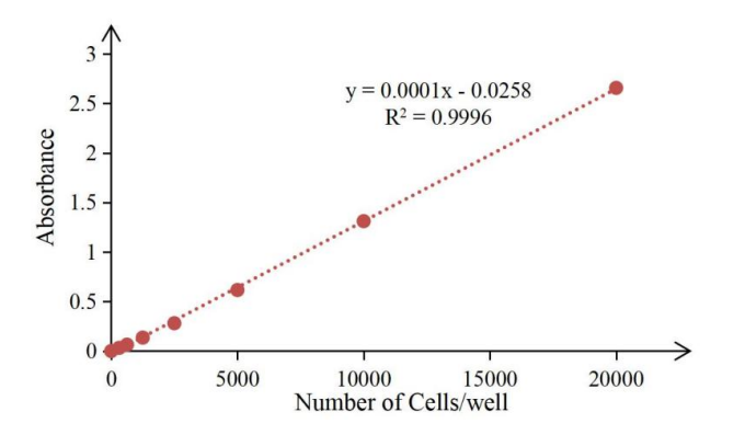 索萊寶20周年慶典禮遇九月開(kāi)學(xué)季