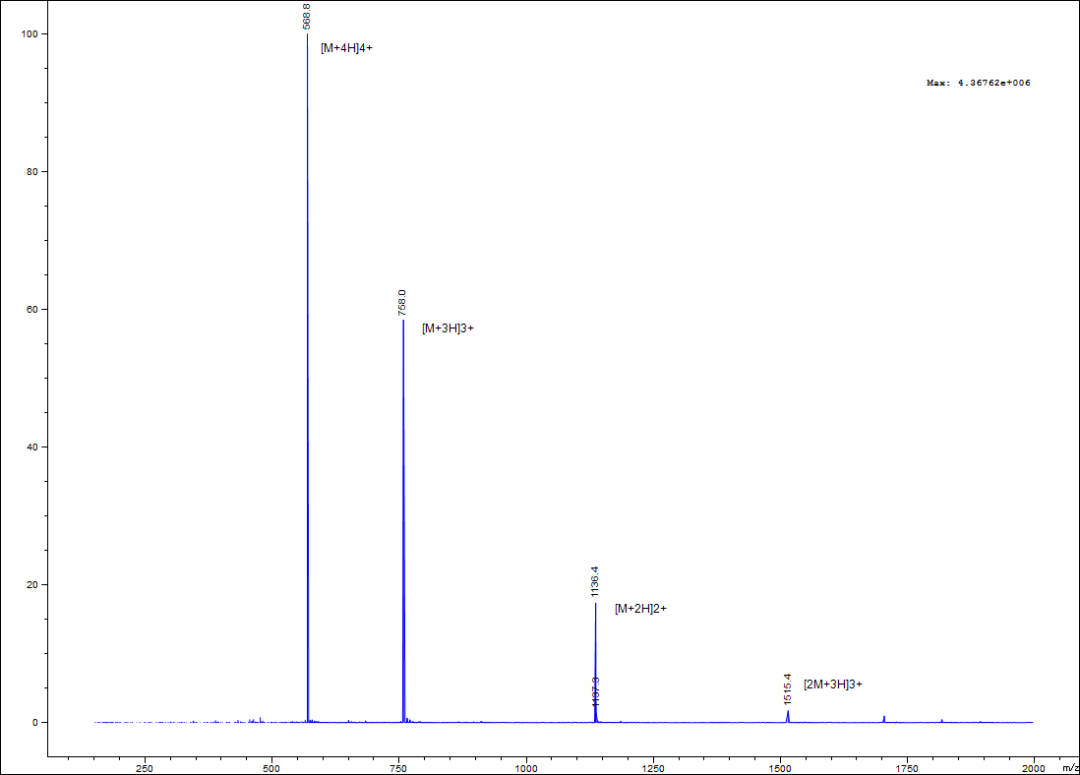 目录肽—Flagelin 22