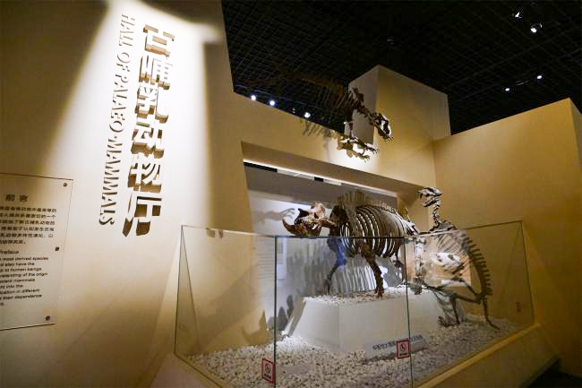 国家自然博物馆&北京索莱宝梦幻联动