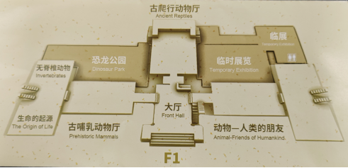 国家自然博物馆&北京索莱宝梦幻联动