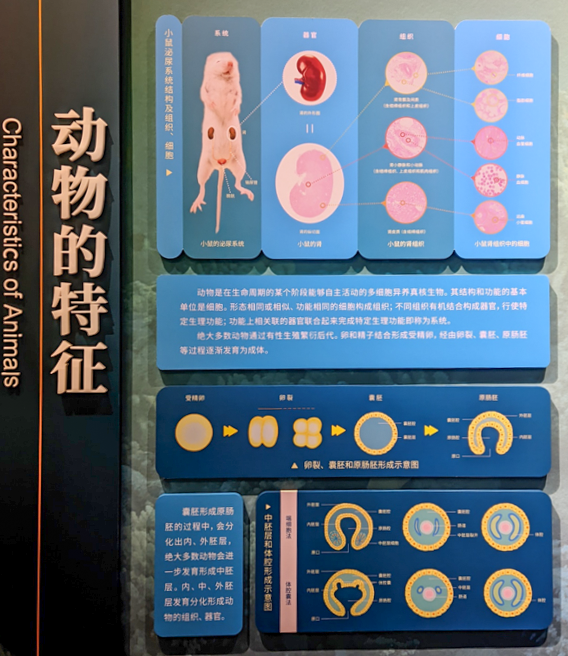 国家自然博物馆&北京索莱宝梦幻联动