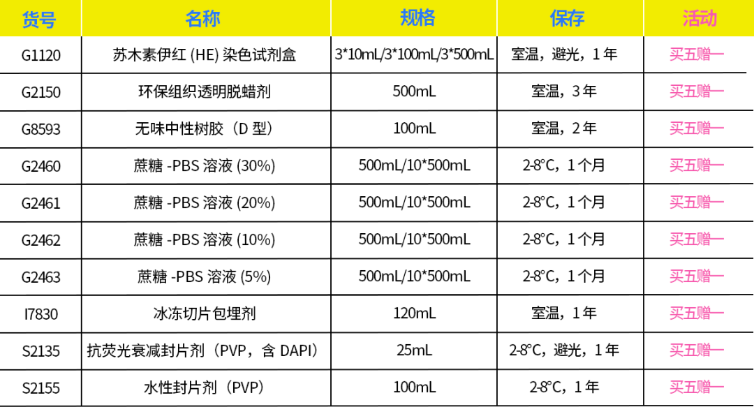 染色液|夏日大作战