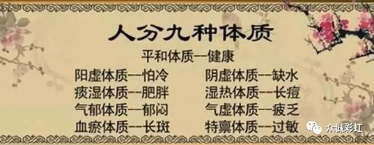 灵芝—气虚体质者的“长寿草”