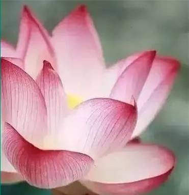 不要瞎忙，做华莱就做这三件事！