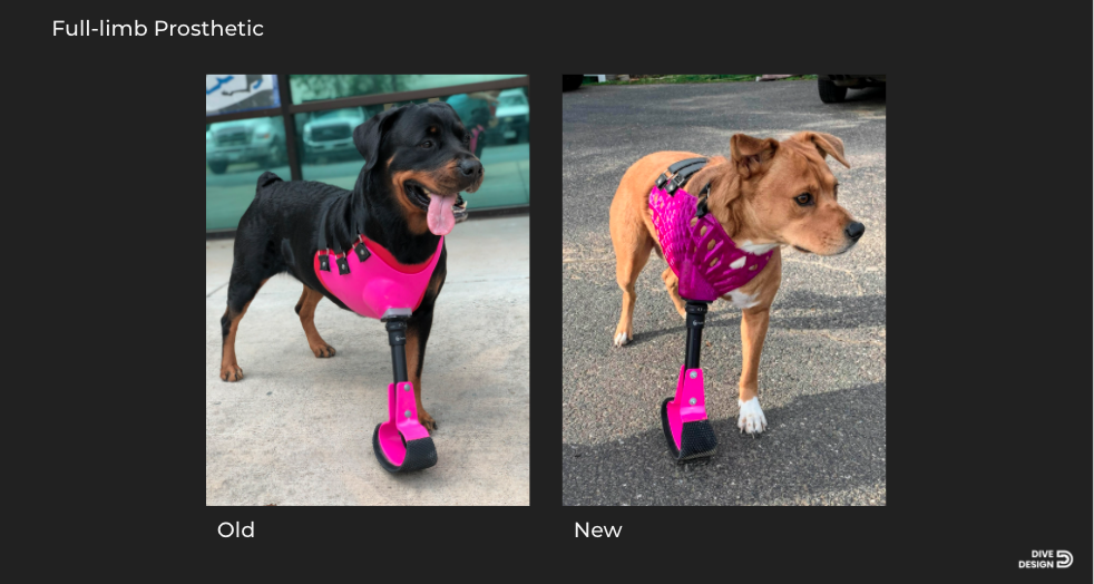 DfAM專欄丨快、準(zhǔn)、省，增材科技讓動物重新站立奔跑的圖3
