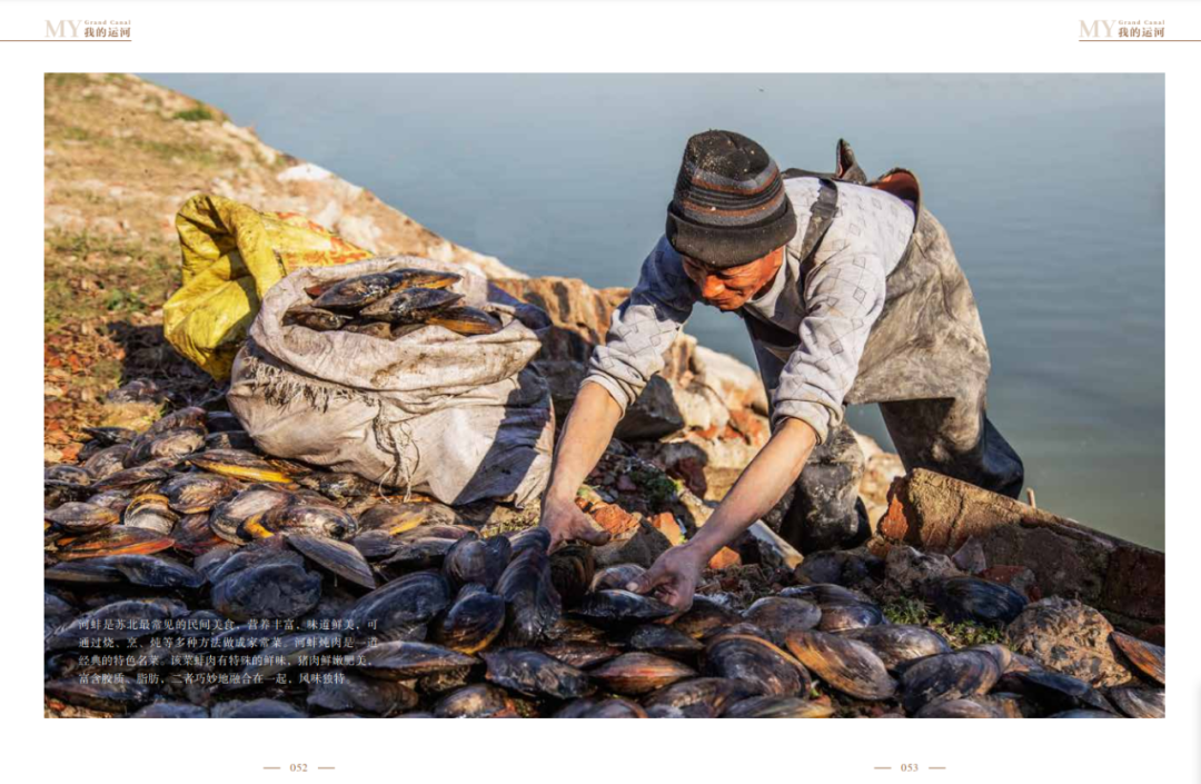 一般id做畫(huà)冊(cè)印刷發(fā)單頁(yè)還是跨頁(yè)_畫(huà)冊(cè)印刷_訂做畫(huà)冊(cè)印刷