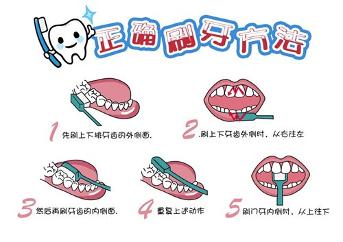 拔掉烂牙根多久才能补牙_烂牙根一般几年内必须拔_拔烂掉的牙根多少钱