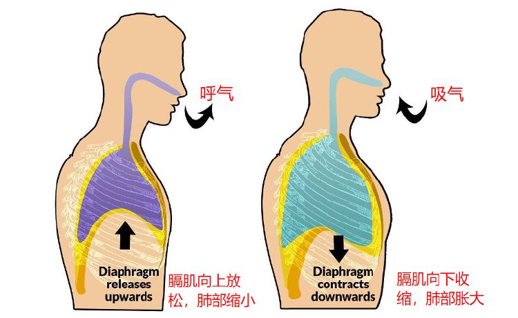 有人打嗝打了68年，是怎麼回事？ 健康 第8張