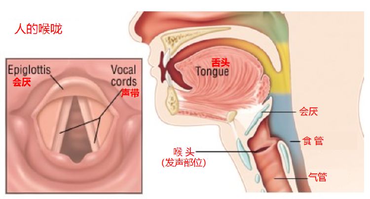 有人打嗝打了68年，是怎麼回事？ 健康 第10張