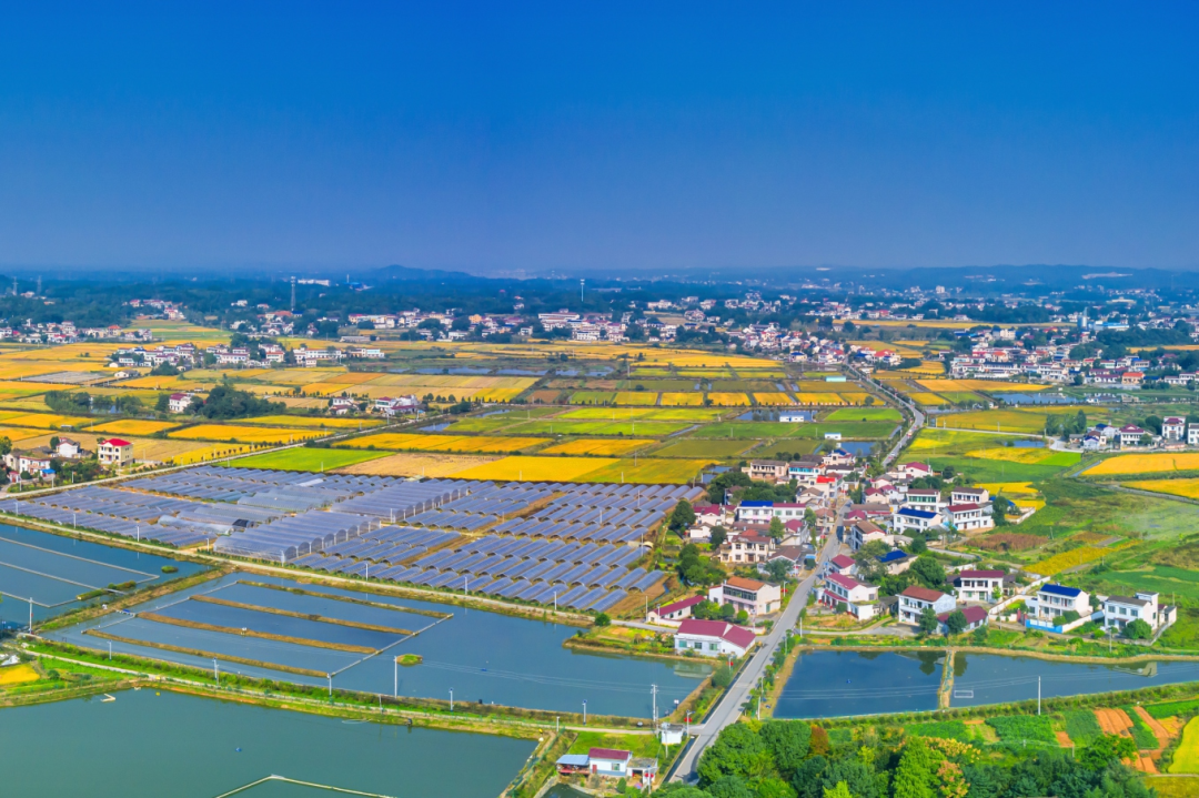 快讯新华社报道大成桥镇