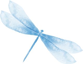 江南教务系统登录入口_江南大学教务处登陆_江南大学教务系统进不去