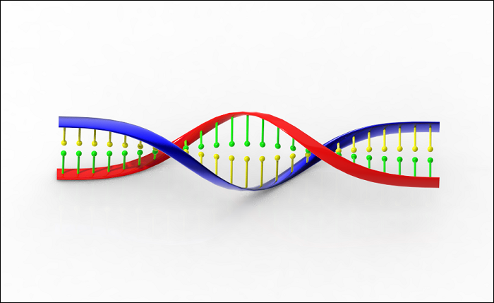 Proe/Creo如何创建DNA模型？的图1