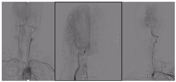 病历夹什么径技·第151期｜串联营病历夹：京广连营_https://www.jmylbn.com_新闻资讯_第26张