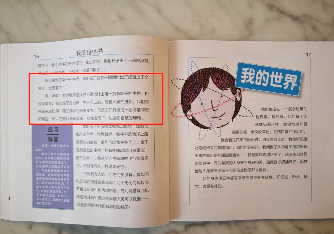 媽媽會選書 | 這節身體認知課，每個家長都該給孩子補上 親子 第21張