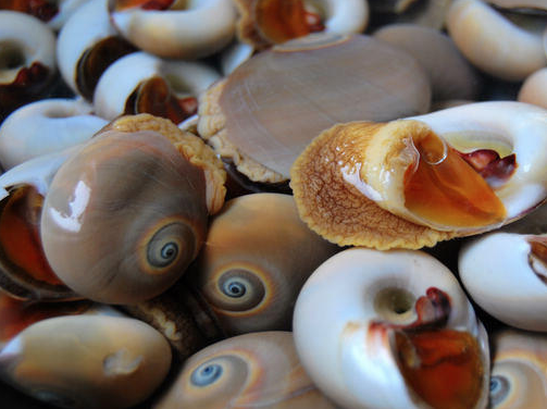 七道开胃凉菜制作，物美价廉，非常实用！