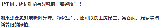 2019廁所流行怎樣設計？ 這樣美觀又實用，推薦！ 家居 第46張