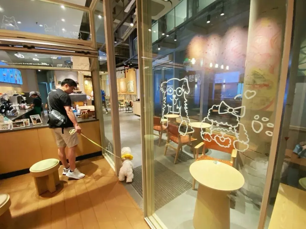 Shanghai Starbucks Pet Zone Removed After Seat Dispute with Writer