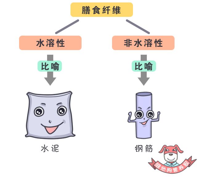 【科普營養】吃膳食纖維僅僅是減肥嗎？你太低估它的威力了！ 健康 第4張