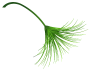 校长有约 | 与家长有约，与未来之教育有约(2018/2019第2期）