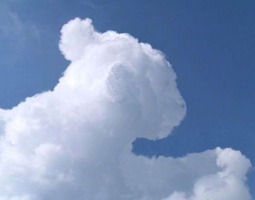 这样的“升旗仪式”，孩子们都很期待