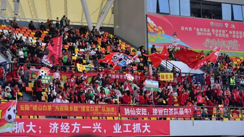 徐大勇：以球为媒，“踢”出乡村振兴新篇章(1).docx