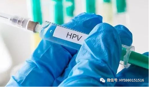 hpvdna分型分为什么型HPV病原学分型及临床应用_https://www.jmylbn.com_新闻资讯_第8张