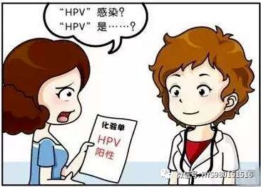 hpvdna分型分为什么型HPV病原学分型及临床应用_https://www.jmylbn.com_新闻资讯_第7张