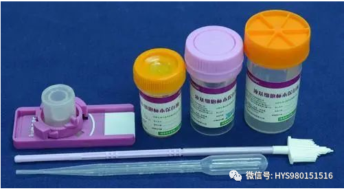 hpvdna分型分为什么型HPV病原学分型及临床应用_https://www.jmylbn.com_新闻资讯_第11张