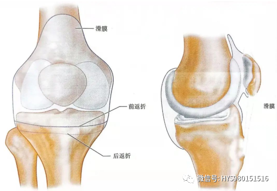 什么是外固定架胫骨近端骨折：环形外固定架_https://www.jmylbn.com_新闻资讯_第13张