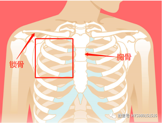 aed电极贴怎么贴2分钟学会AED使用方法！关键时刻能救命！_https://www.jmylbn.com_新闻资讯_第20张