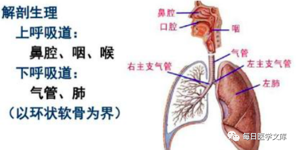 湿化液是什么气管切开的湿化管理及护理_https://www.jmylbn.com_新闻资讯_第6张