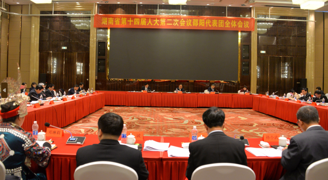 直通省两会 | 邵阳代表团审议省人大常委会工作报告_邵阳头条网